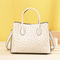 Dior Saddle Bag - Ultramatte Black Calfskin